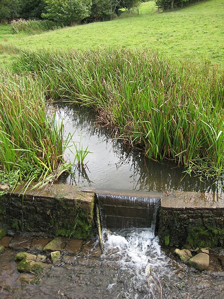 Photo 6"x4" Valley Brook Whitebrook\/SO5306 c2008