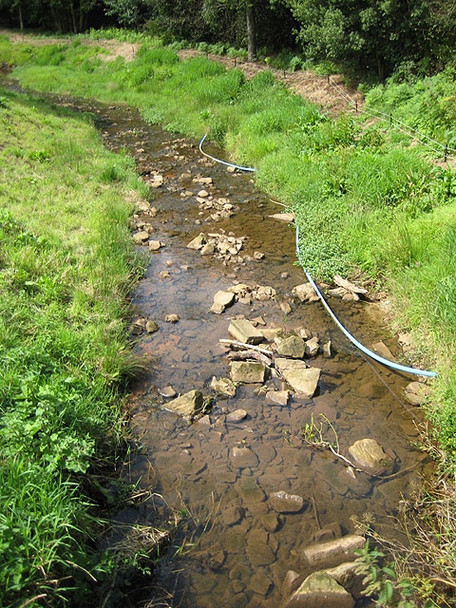 Photo 6"x4" Valley Brook running SW Whitebrook\/SO5306 c2008
