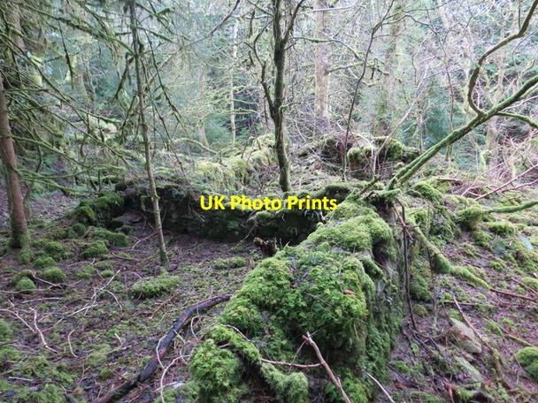 Photo 6"x4" Ffarm Castell y Gwynt \/ Castell y Gwynt  Farm Nant-y-ff\u00een\/SN5532 c2013