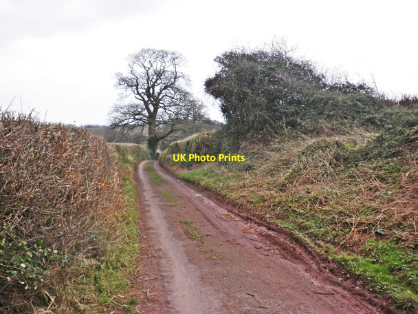 Photo 6"x4" Birchanger Lane Monksilver c2013