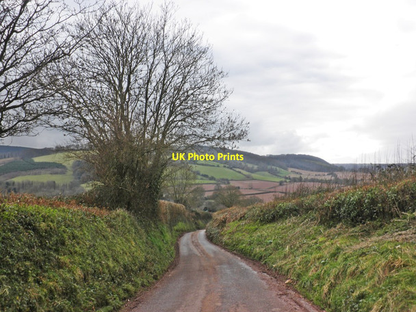 Photo 6"x4" Steep lane above Monksilver Monksilver c2013