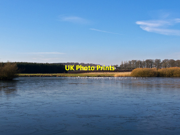 Photo 6"x4" Lake near Threapmuir Cleish c2013