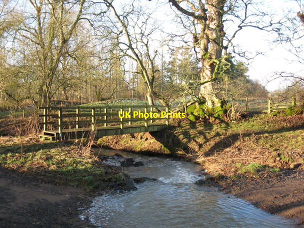 Photo 6"x4" Bridging a Burn Maxton\/NT6130 c2013