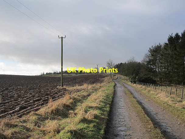 Photo 6"x4" Road to Troneyhill Old Belses c2013