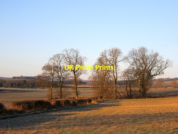 Photo 6"x4" Field corner, Slighhouses Auchencrow c2013
