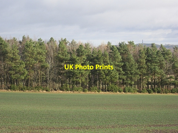 Photo 6"x4" Winter arable, Bloomfield Ancrum c2013