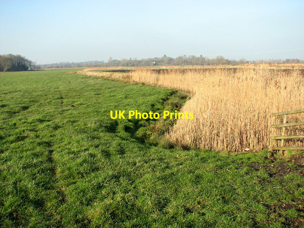 Photo 6"x4" Barsham Marshes in February Beccles c2013