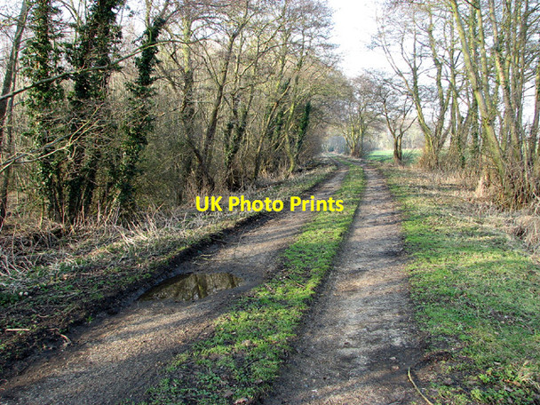 Photo 6"x4" Farm track in Barsham Marshes Beccles c2013