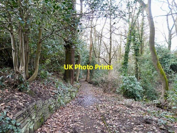 Photo 6"x4" Pole Bank Path Hyde\/SJ9494 c2013