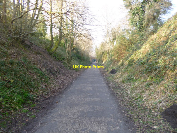 Photo 6"x4" Blandford Forum, trailway Blandford Forum c2013