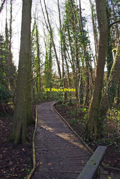 Photo 6"x4" Boardwalk in Spennells Valley Nature Reserve, Spennells, Kidderminster Kidderminster c2013