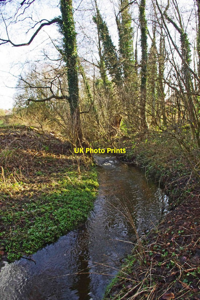 Photo 6"x4" A stream in Spennells Valley Nature Reserve, Spennells, Kidderminster Kidderminster c2013