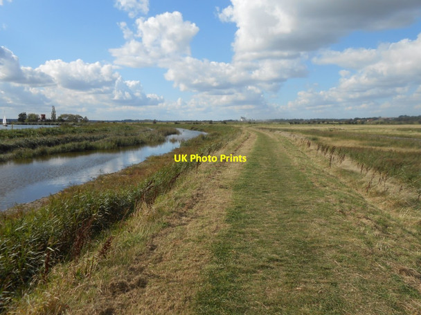 Photo 6"x4" Floodbank, River Yare Reedham\/TG4201 c2012