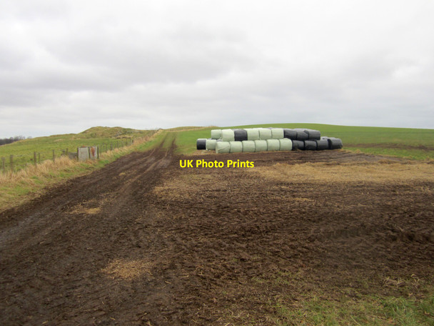 Photo 6"x4" Wrapped bales stored in field near Murton Loanend\/NT9450 c2013