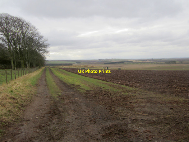 Photo 6"x4" Farm track near Ewe Hill Loanend\/NT9450 c2013