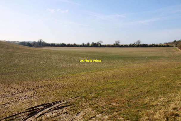 Photo 6"x4" Arable field near West Ilsley West Ilsley c2013