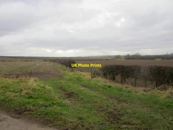 Photo 6"x4" Arable land near Longridge Loanend\/NT9450 c2013