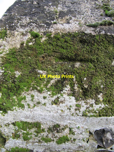 Photo 6"x4" Moss covered benchmark Mapledurham c2013