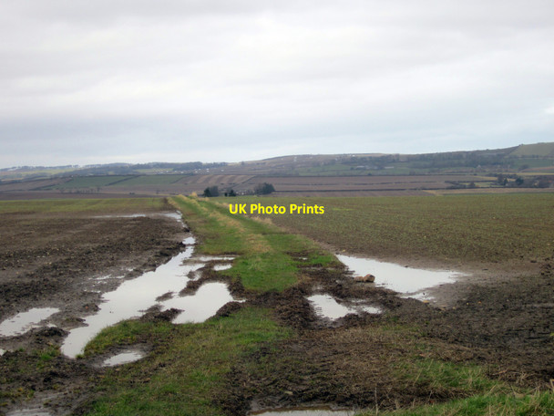 Photo 6"x4" Farm Track separating fields near Middle Ord Loanend\/NT9450 c2013