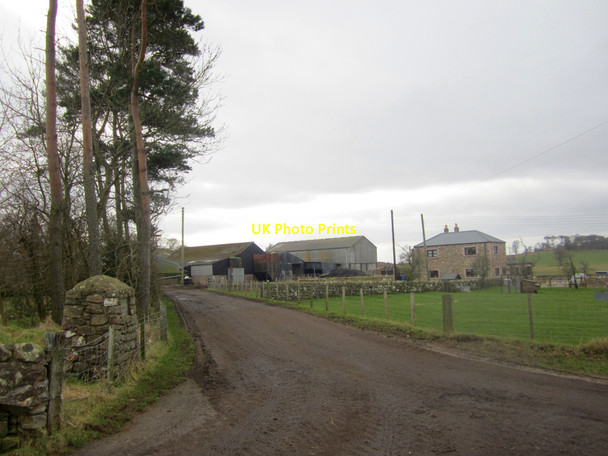 Photo 6"x4" Middle Ord farm Loanend\/NT9450 c2013