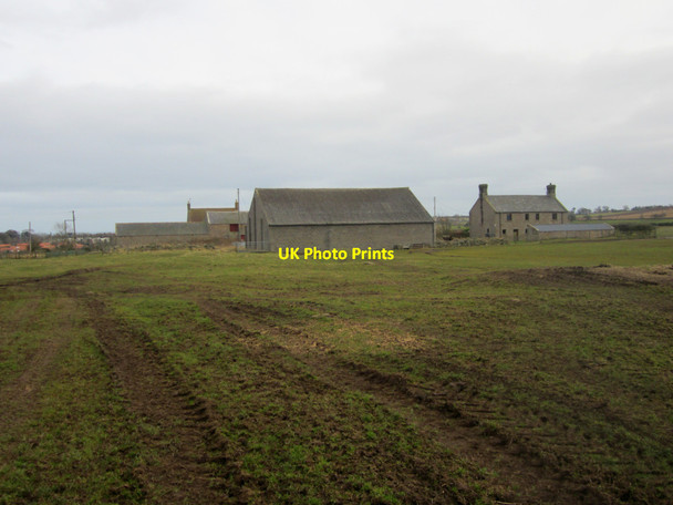 Photo 6"x4" Farm buildings at Ord Mains Berwick-upon-Tweed c2013