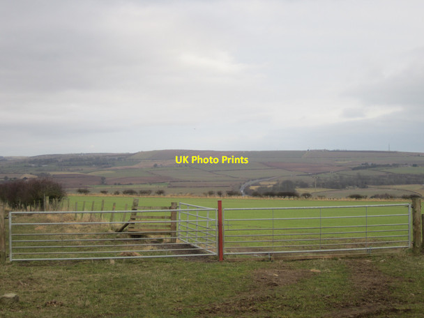 Photo 6"x4" Arable fields near Ord Mains Berwick-upon-Tweed c2013