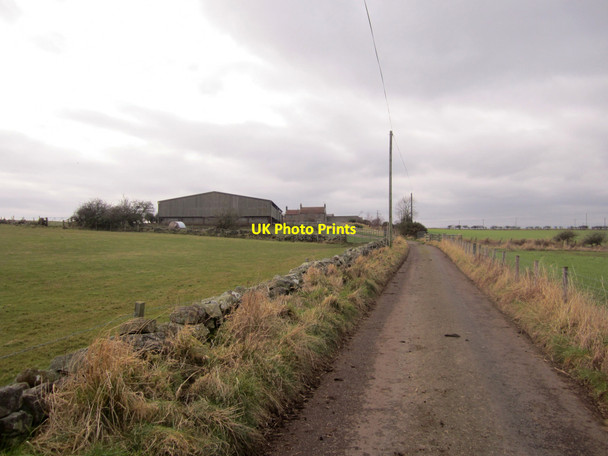 Photo 6"x4" Looking west along farm track to Ord Mains Berwick-upon-Tweed c2013