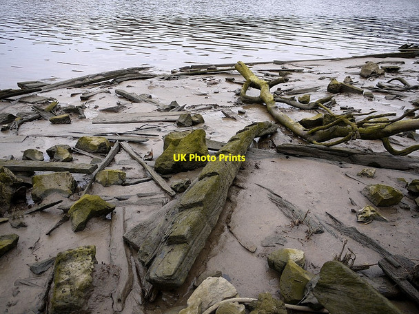 Photo 6"x4" Remains of the Ryton Wherries, west of Newburn Bridge Ryton\/NZ1564 c2013 P1