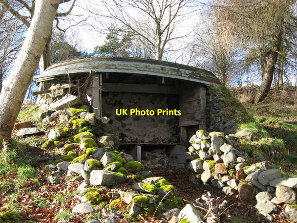 Photo 6"x4" Tweed Shelter Manorhill c2013