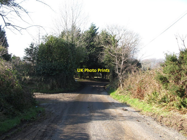 Photo 6"x4" Bend in the lower, western section of Carrick Road Burren c2013