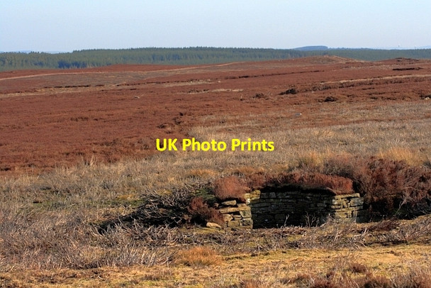 Photo 6"x4" Shooting Butt on Blanchland Moor Baybridge\/NY9550 c2013