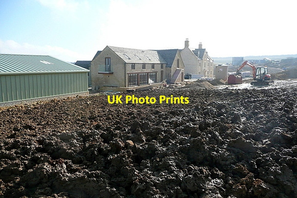 Photo 6"x4" Great Rough Brow Long Compton\/SP2832 c2013