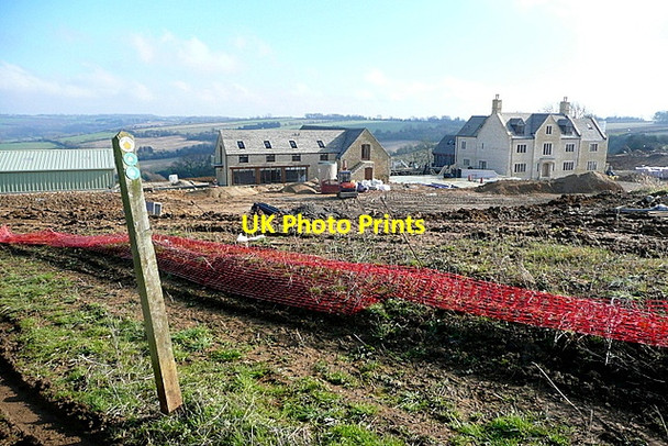 Photo 6"x4" Great Rough Brow Long Compton\/SP2832 c2013