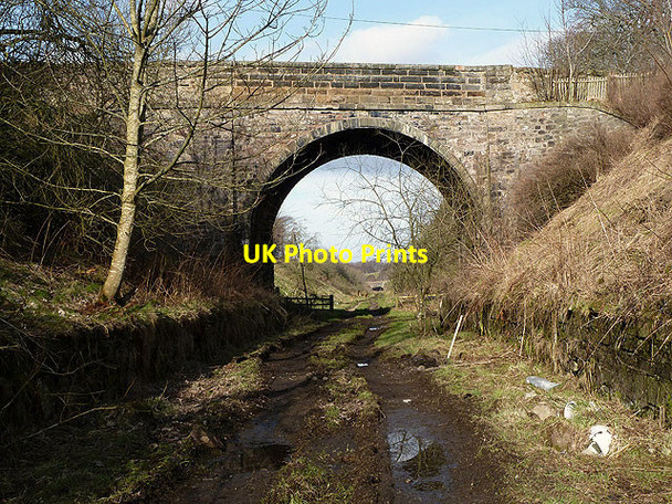 Photo 6"x4" A bridge at Tynehead Tynehead c2013