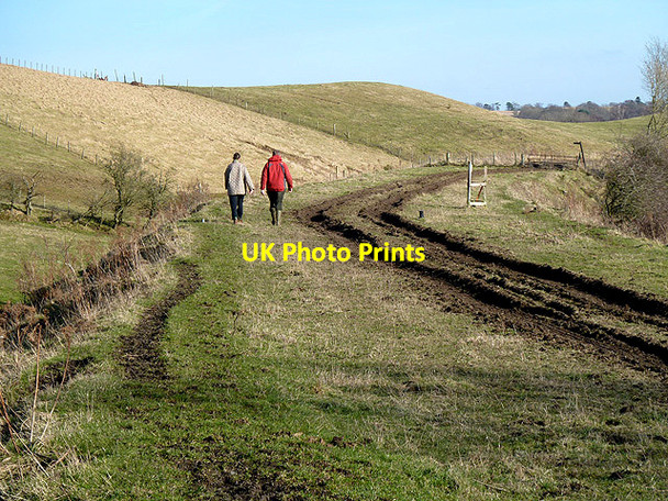 Photo 6"x4" Walking on the former Waverley Railway Line at Borthwick Borthwick c2013