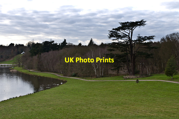 Photo 6"x4" Beside the Lake, Painshill Park Cobham\/TQ1160 c2013