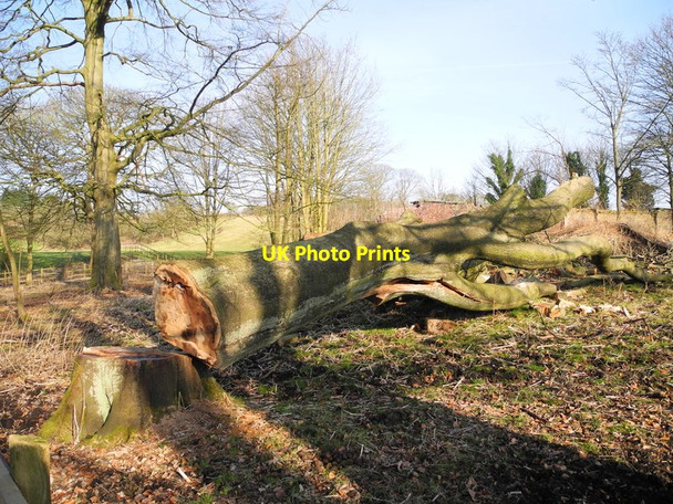 Photo 6"x4" Timber, Medlock Vale Droylsden c2013