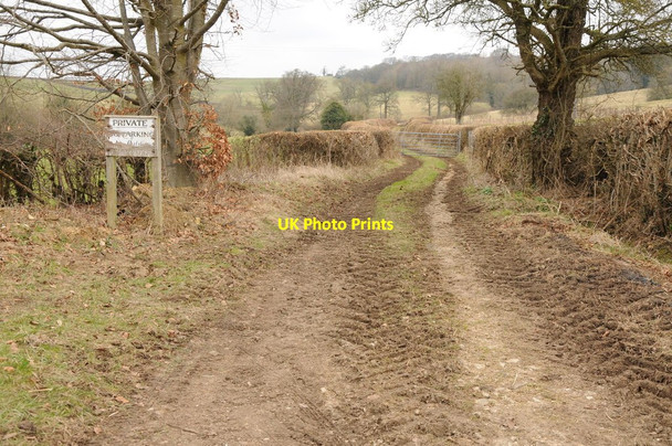 Photo 6"x4" Track near Painswick Edge\/SO8409 c2013