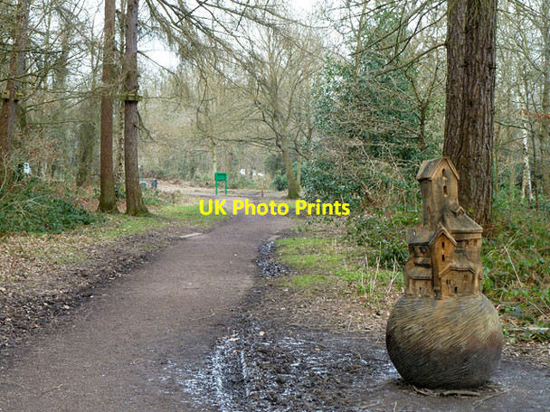 Photo 6"x4" Wood sculpture, Oxhey Woods Northwood\/TQ0991 c2013