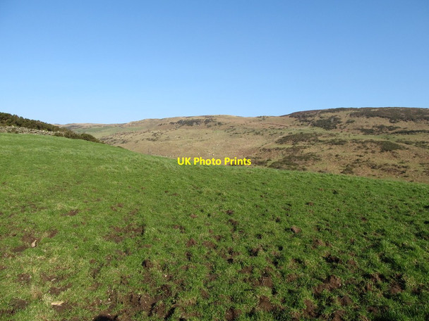 Photo 6"x4" Upland grazings above Carrick Road Burren c2013