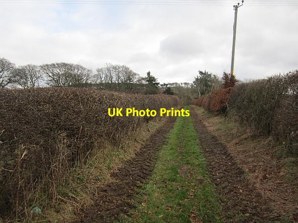 Photo 6"x4" Green lane near Crailing Crailing c2013
