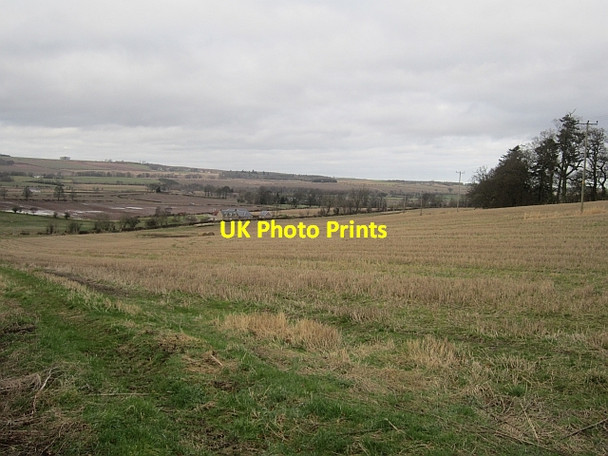 Photo 6"x4" Stubble, Crailing Crailing c2013