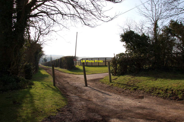 Photo 6"x4" Racehorse path to West Ilsley Stables West Ilsley c2013