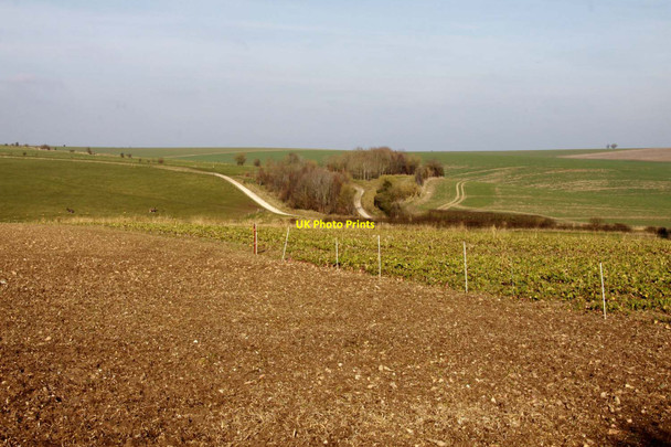 Photo 6"x4" Arable field near West Ilsley West Ilsley c2013