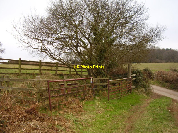 Photo 6"x4" Stowford leat Yettington c2013