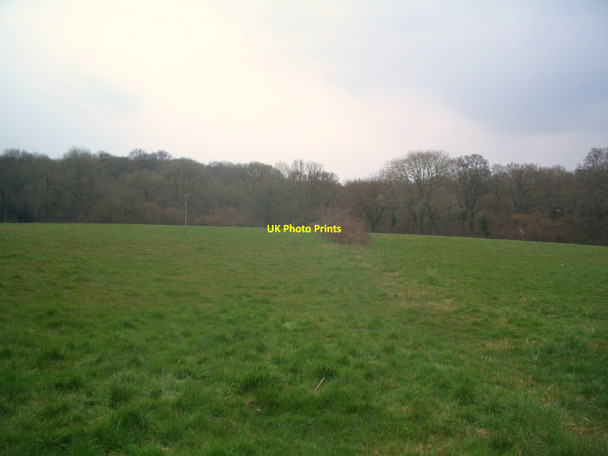 Photo 6"x4" Looking towards Sparrow Copse Horsham\/TQ1731 c2013