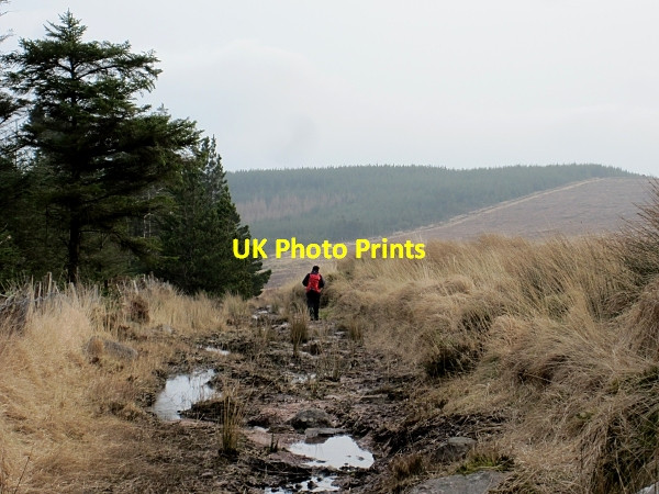 Photo 6"x4" Rough Track Ballylooby c2013