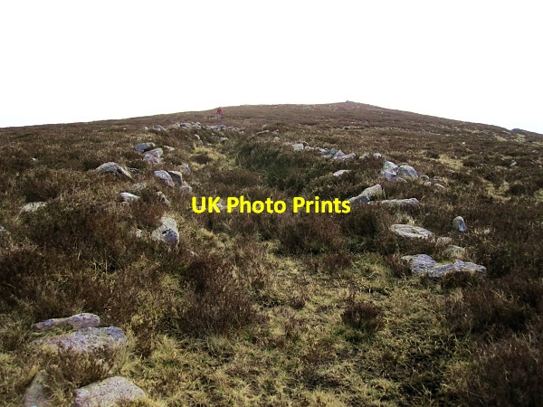 Photo 6"x4" Ancient Trackway Rossadrehid c2013