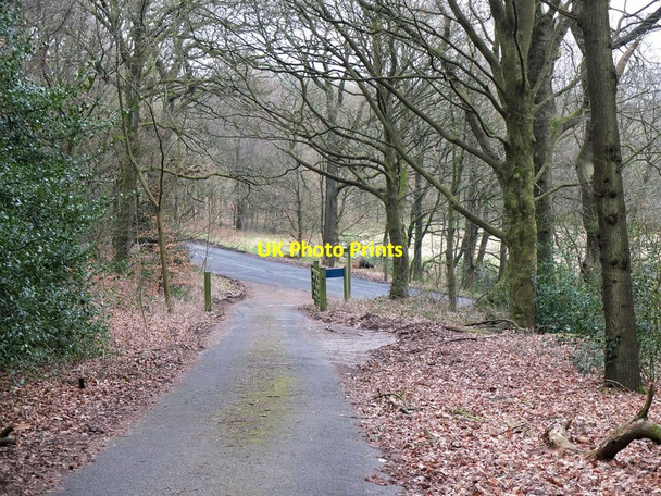 Photo 6"x4" Track joins Rivington Lane Horwich c2013