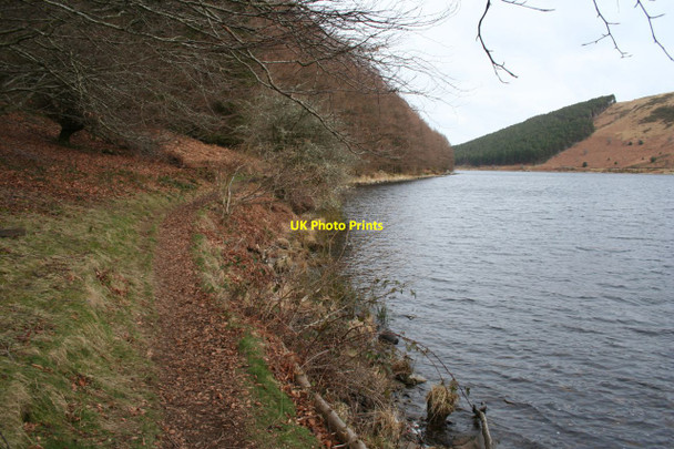 Photo 6"x4" Llyn Geirionydd Trefriw c2013